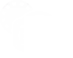 772eaca6-47ff-42e7-99e4-bf95b31e33db.png